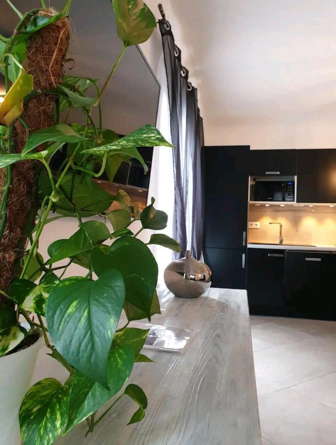 Pianotolinca - Centru Di Corsica Villa Moltifao Eksteriør bilde